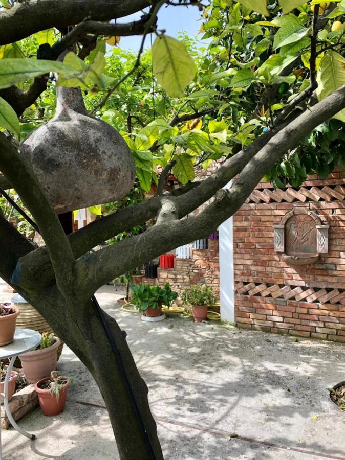 Villa Muzhaqi Nivice ภายนอก รูปภาพ